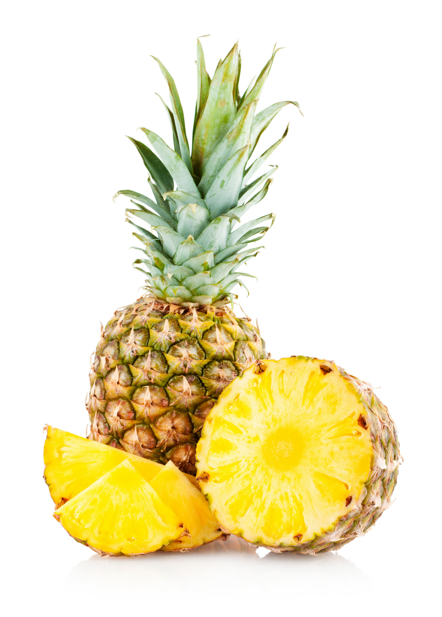 Pineapple Elite Gold Plant - Hybrid Tropical Fruit - Ananas comosus - Juicy, Sweet, Hardy