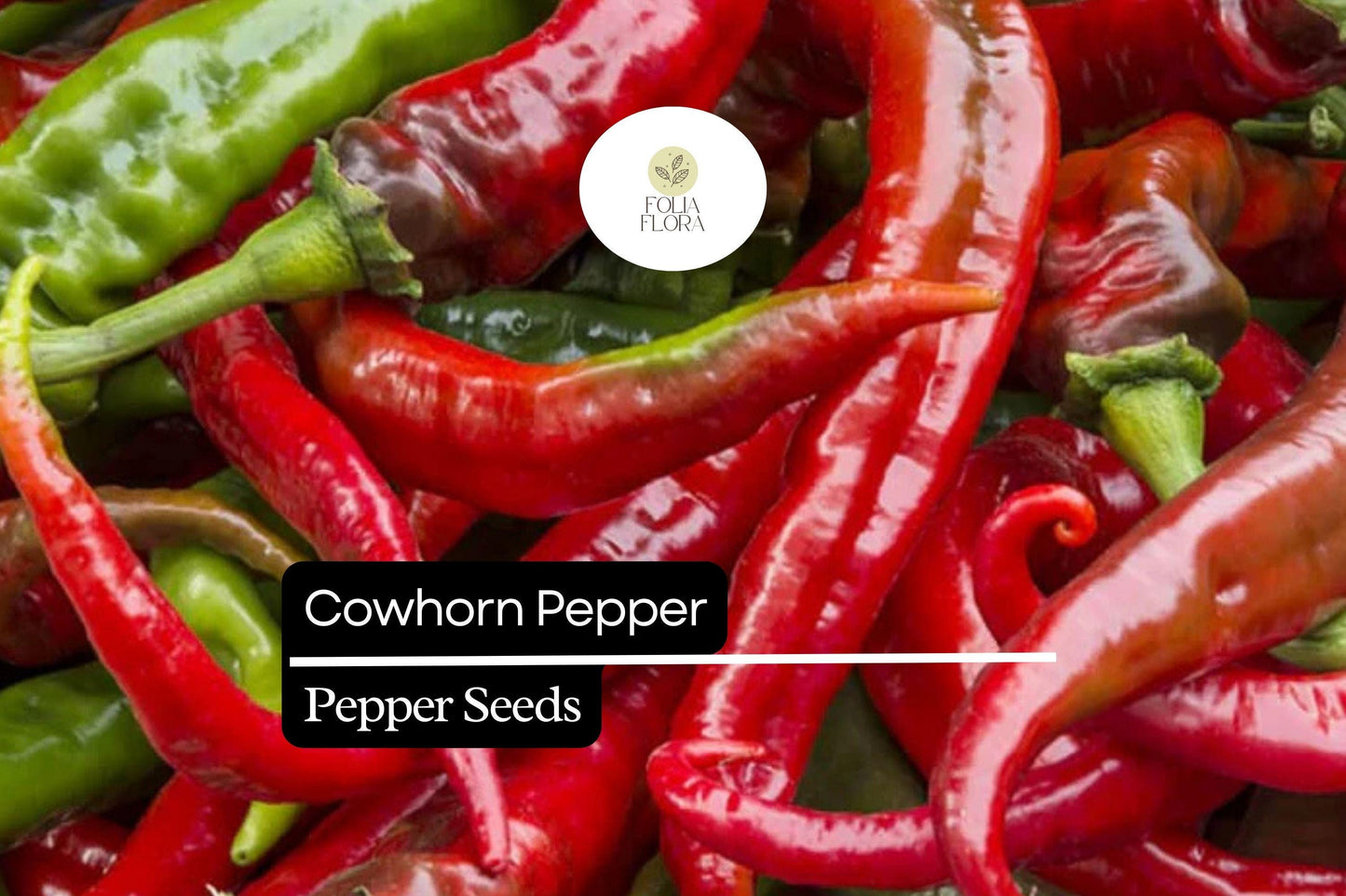25 Cowhorn Pepper Seeds – Heirloom Capsicum annuum, Medium Heat, High-Yielding, 75-85 Days Maturity