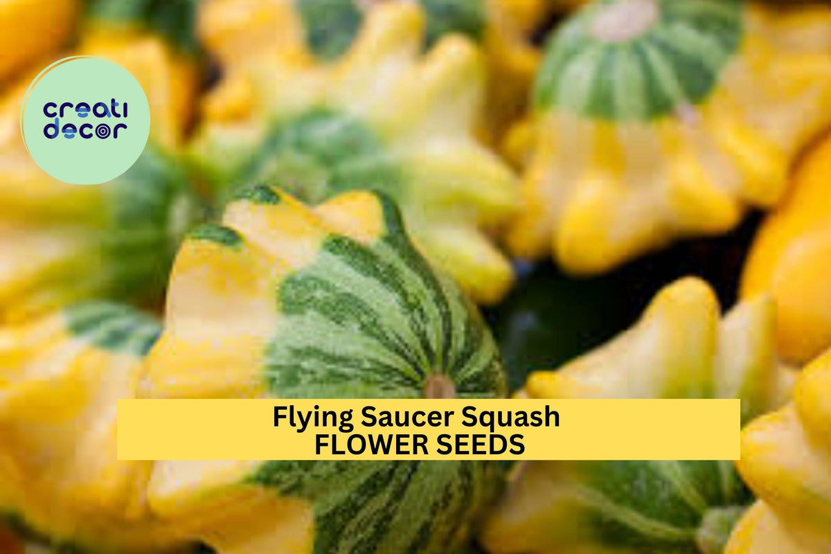 25+ Flying Saucer Squash Seeds – Unique Yellow & Green Pattypan Squash for Garden Planting