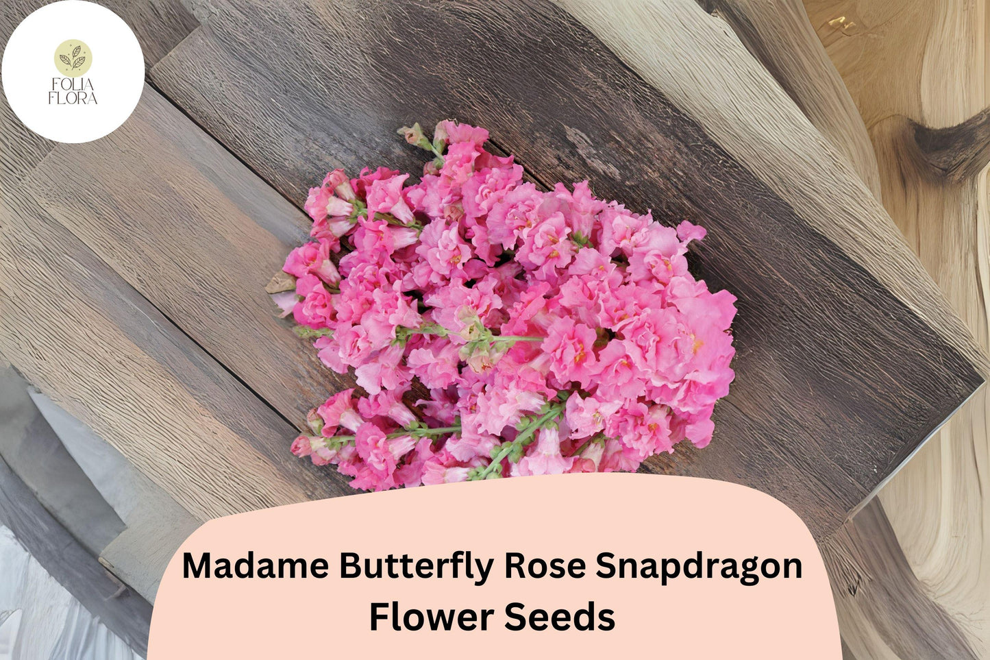 Antirrhinum majus Madame Butterfly Rose Snapdragon Seeds – 1000+ Ruffled Blush Rose Blooms for Garden & Cut Flowers
