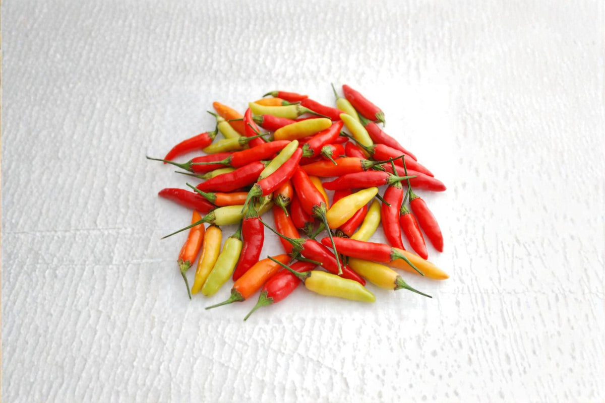 Tabasco Hot Pepper Seeds - 25 Pack - Capsicum frutescens - Very Hot Sauce Pepper for Gardens & Containers