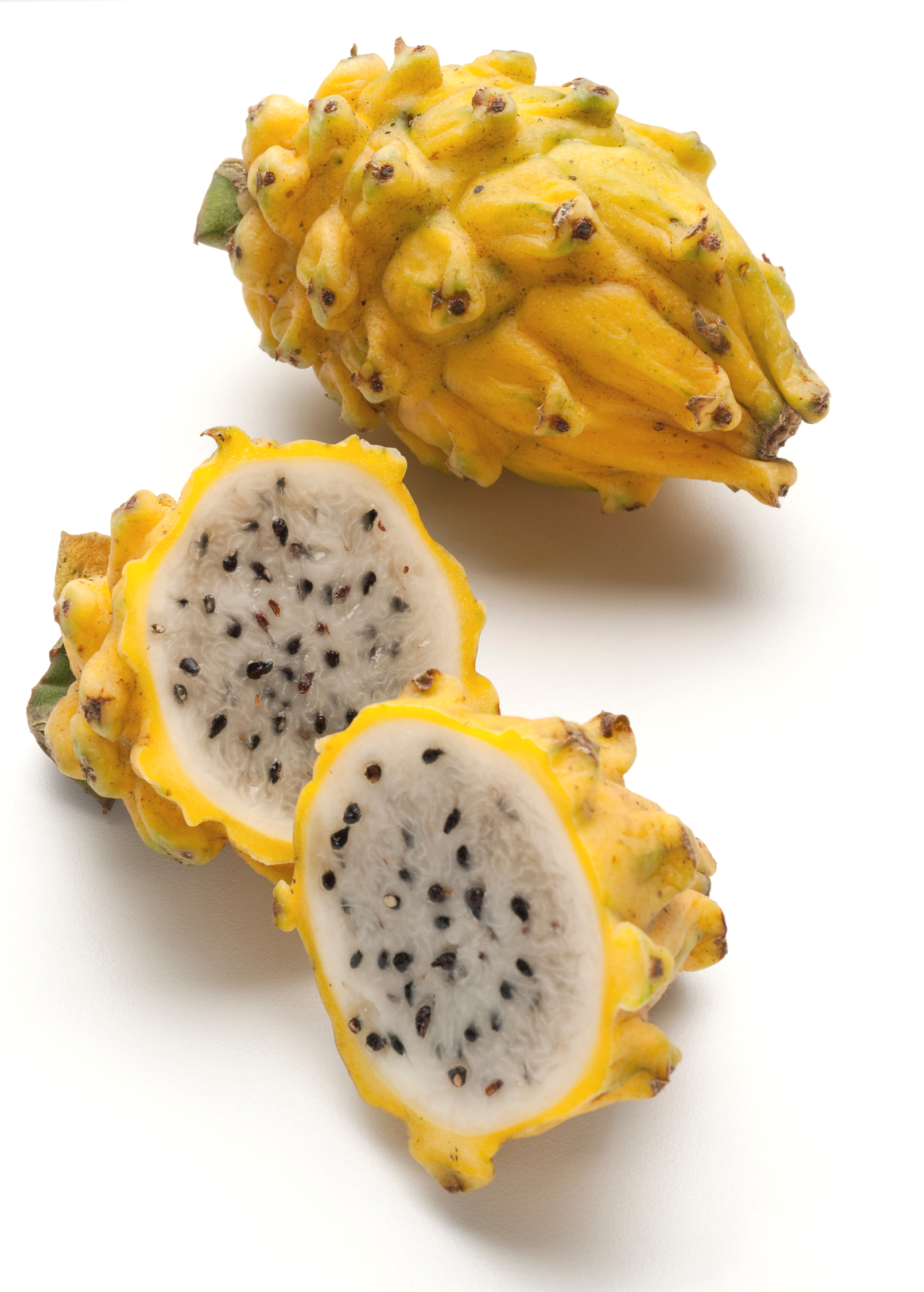Yellow Dragon Fruit Cutting, Selenicereus megalanthus, Rare Pitahaya, Edible Fruit Plant