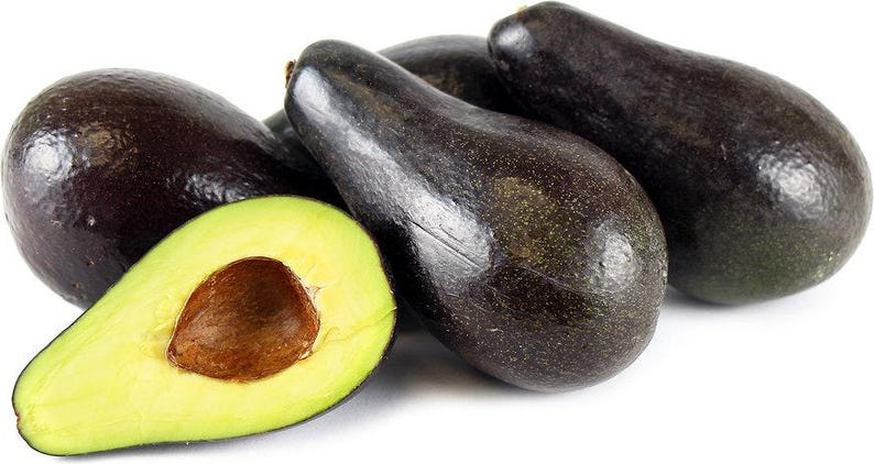 Grafted Stewart Avocado Tree - 1 Foot Tall - Persea americana - Container Plant for Home Garden or Patio