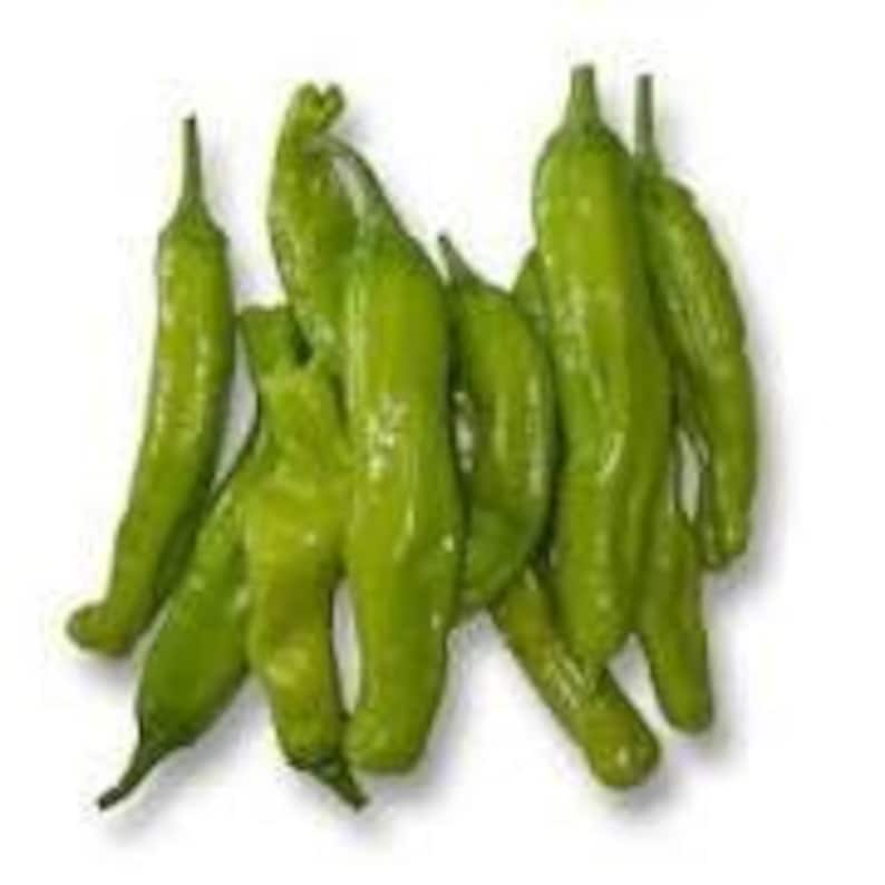 Shishito Pepper Plant - Live in 3" Pot - Capsicum annuum - Mild, Sweet Peppers for Garden or Container Gardening