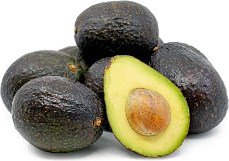 Hass Avocado Tree - Grafted Live Plant, 1ft, Persea americana, for Garden or Pot Cultivation
