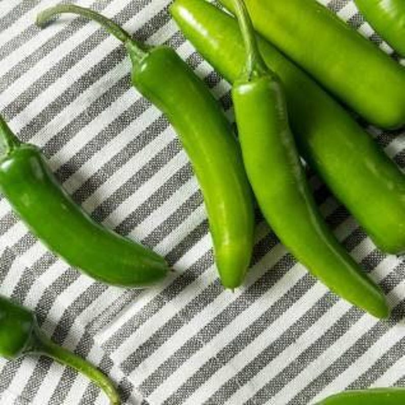 Serrano Pepper Plant in 3" Pot - Capsicum annuum Fresh Green Chili for Home Gardening and Container Growing