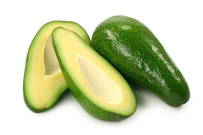 Fuerte Avocado Tree Grafted 2 Feet Tall in 6" Pot | Persea americana | Compact, Fruit-Producing Plant