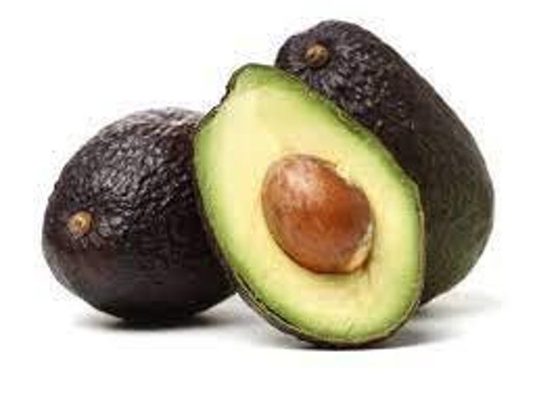 Lamb Hass Avocado Tree Grafted 3-4ft | Persea americana | Premium Quality, Drought Tolerant