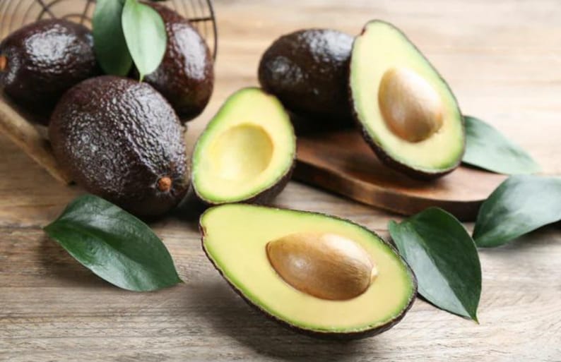 Super Hass Avocado Tree - Grafted 3-4 Feet Tall - Oh La La Variety - Cold Tolerant - Florida Climate Suitable