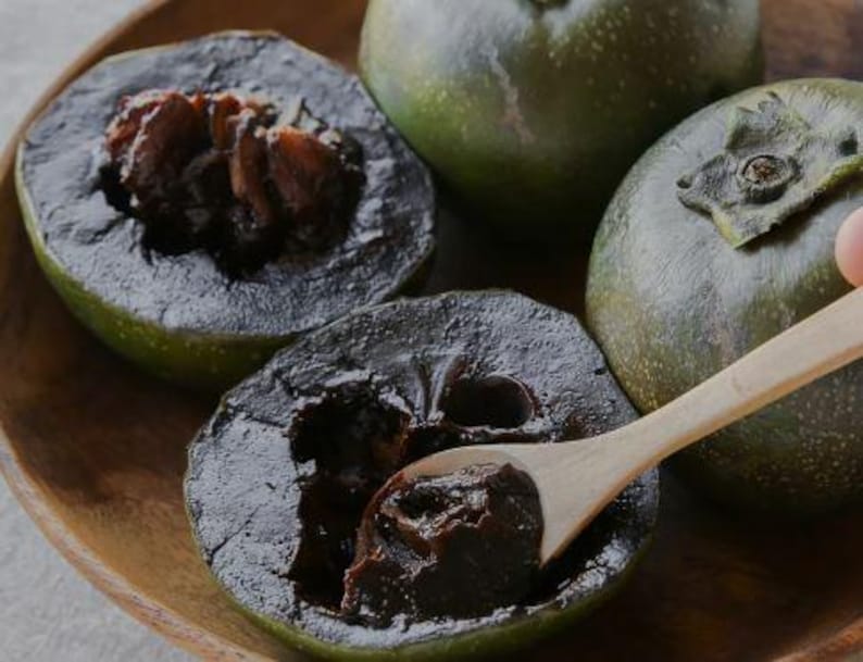 Black Sapote Tree | 1 Gal Pot | Chocolate Pudding Fruit | Diospyros digyna | 10-16 Inch Plant