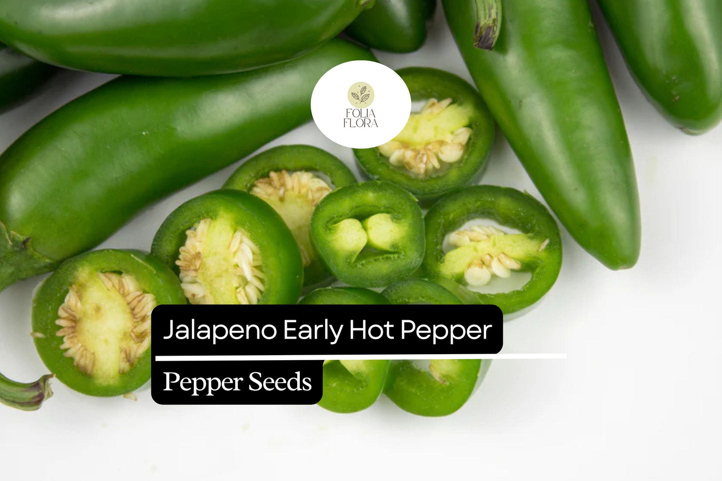 Early Jalapeño Pepper Seeds | Non-GMO, Mild-Medium Heat, Thick-Walled Pods, Capsicum annuum