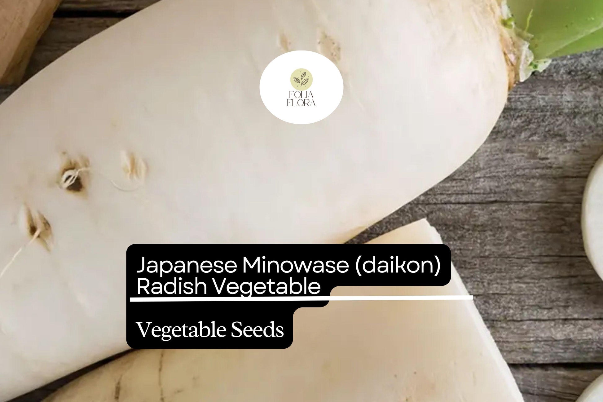 Minowase Daikon Radish Seeds | Heirloom Non-GMO Raphanus sativus for Pickling, Salads & Stir-Fries