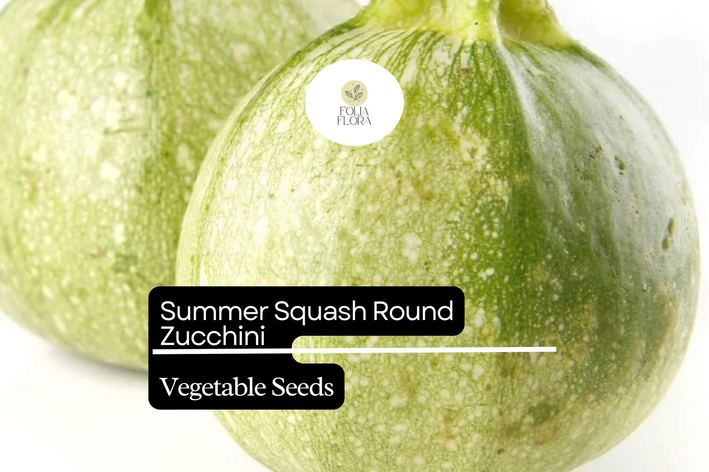 Round Zucchini Seeds – Non-GMO Summer Squash, Green, Compact Plant, Cucurbita pepo, 1g Packet