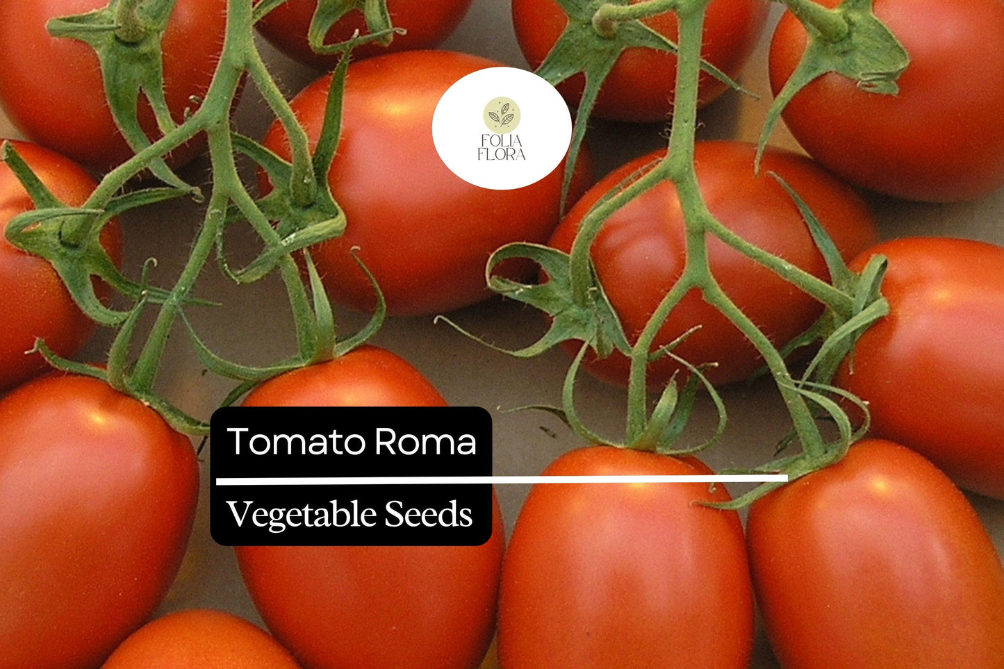 Heirloom Roma Tomato Seeds – Plum Variety for Sauces, Canning, and Cooking – Solanum lycopersicum