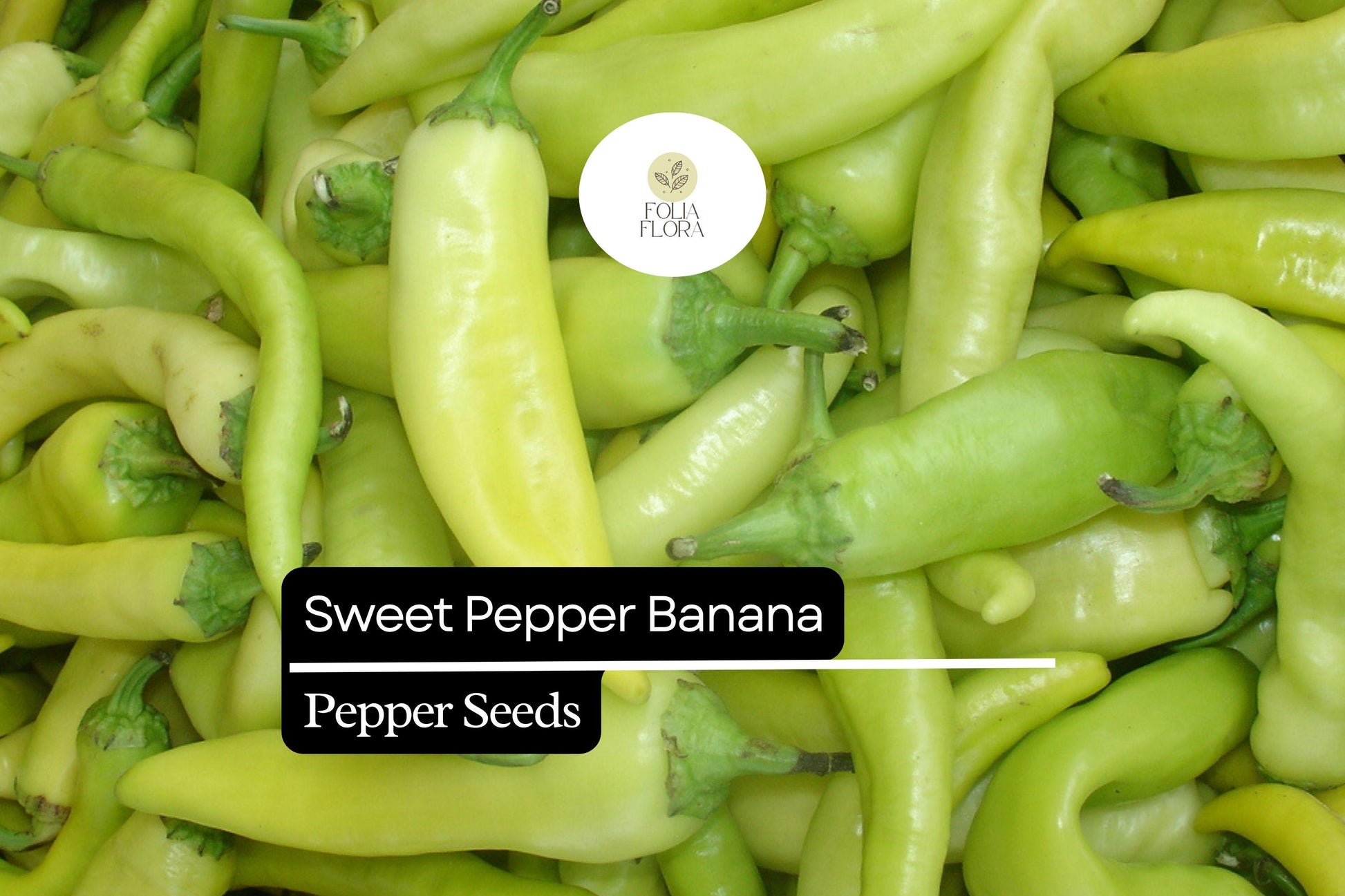 Sweet Banana Pepper Seeds – Mild, Prolific Capsicum annuum for Fresh Eating, Cooking, Pickling, 30 Seeds