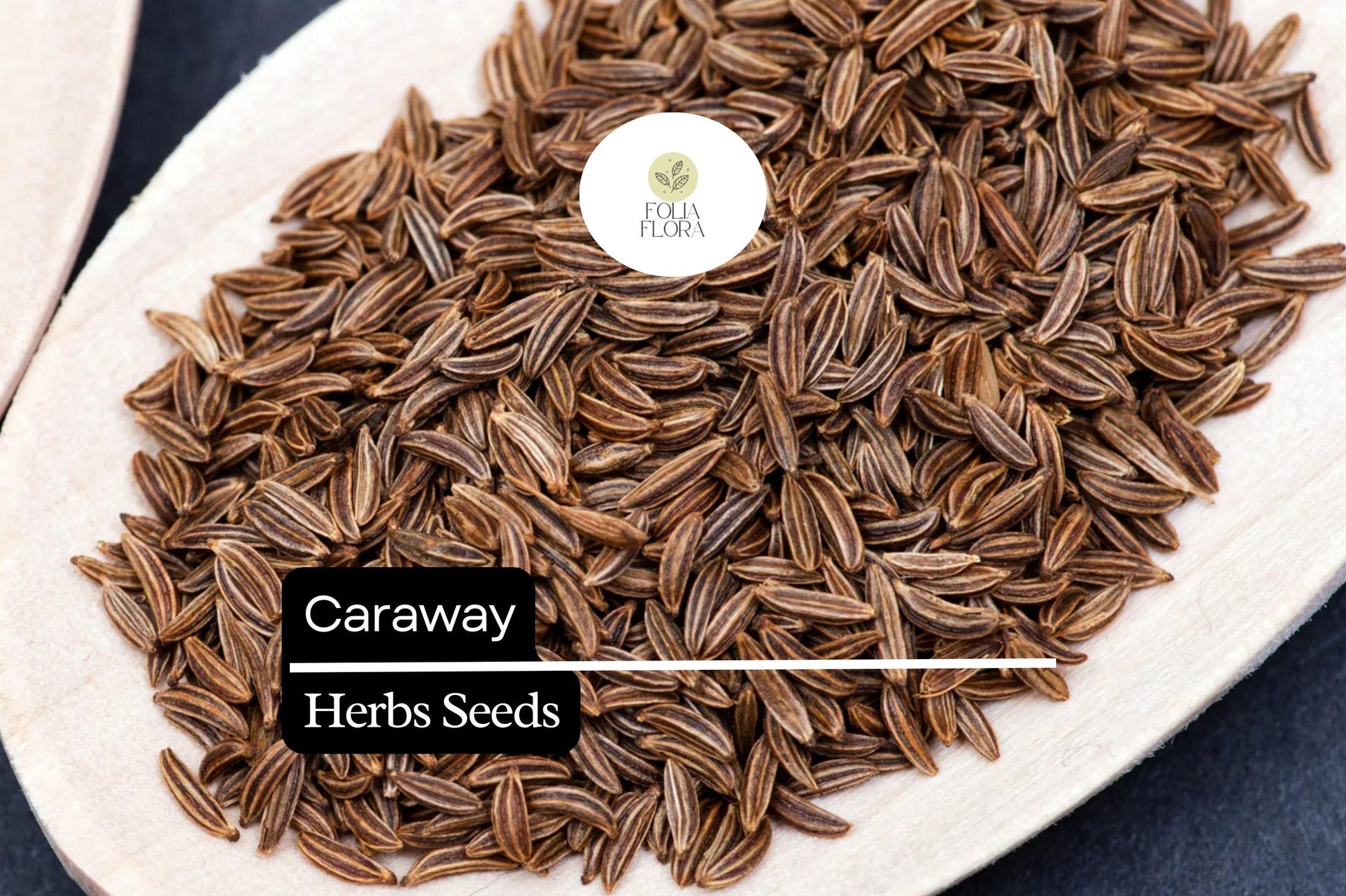 Caraway Seeds 1g | Heirloom Non-GMO Culinary Herb | Aromatic, Versatile Spice | Carum carvi