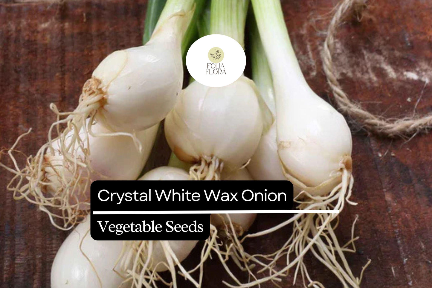 200 Seeds Crystal White Wax Onion Allium cepa Pearl Onion Variety for Pickling, Roasting & Garnishes