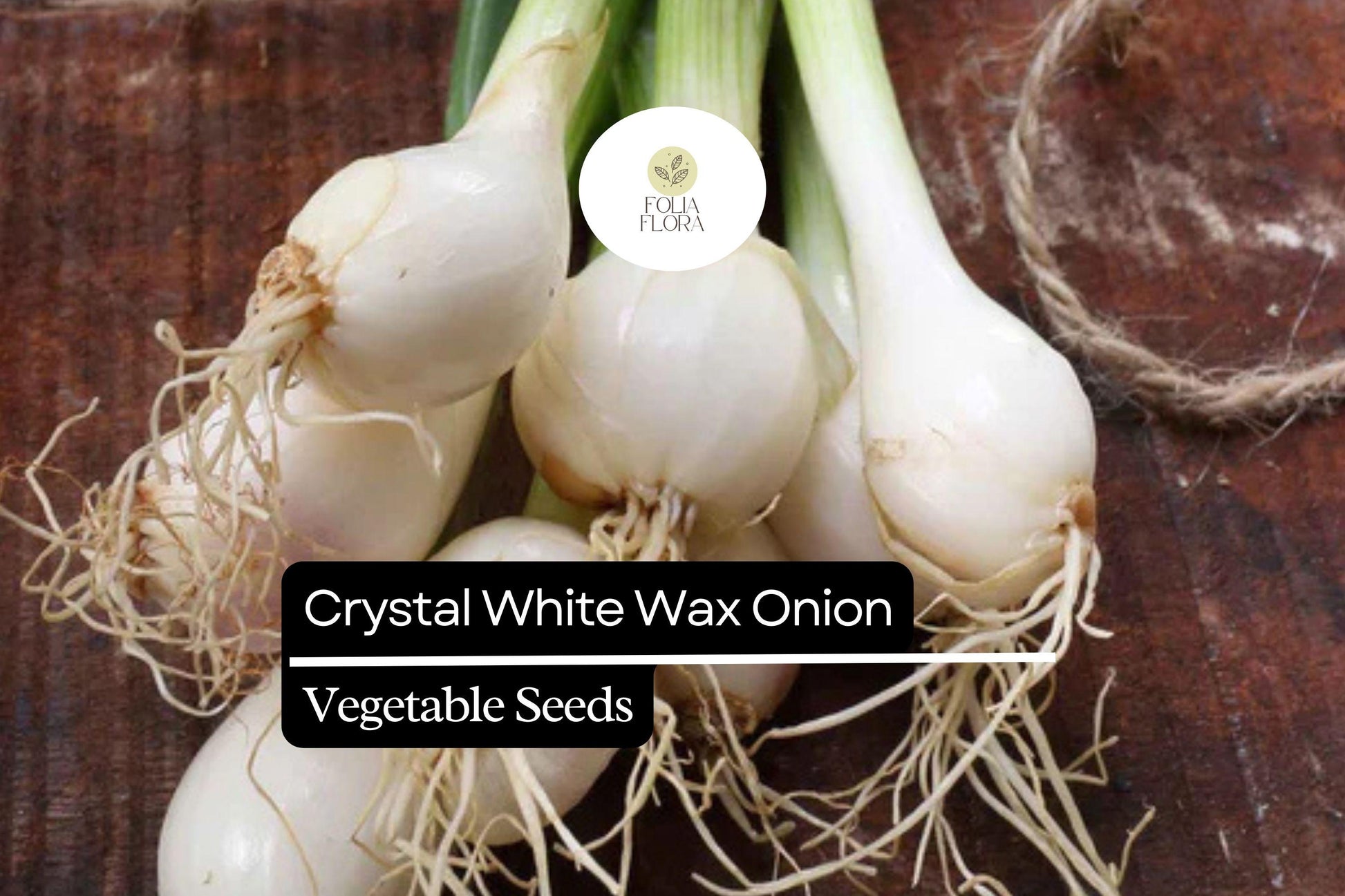 200 Seeds Crystal White Wax Onion Allium cepa Pearl Onion Variety for Pickling, Roasting & Garnishes