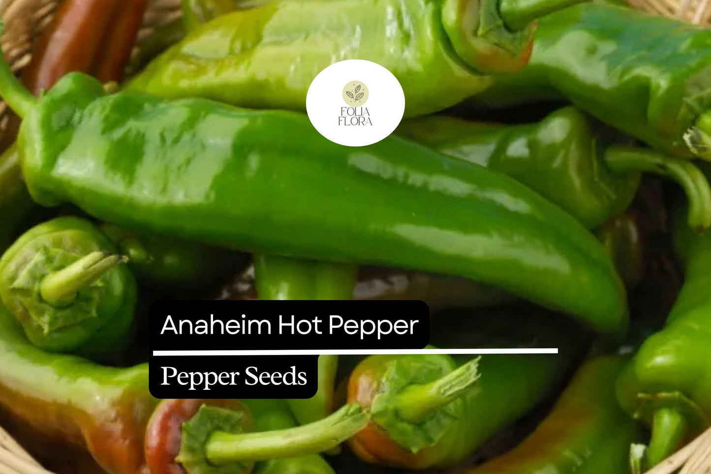 Anaheim Hot Pepper Seeds | Heirloom Non-GMO | Mild Heat, Green to Red | Capsicum annuum