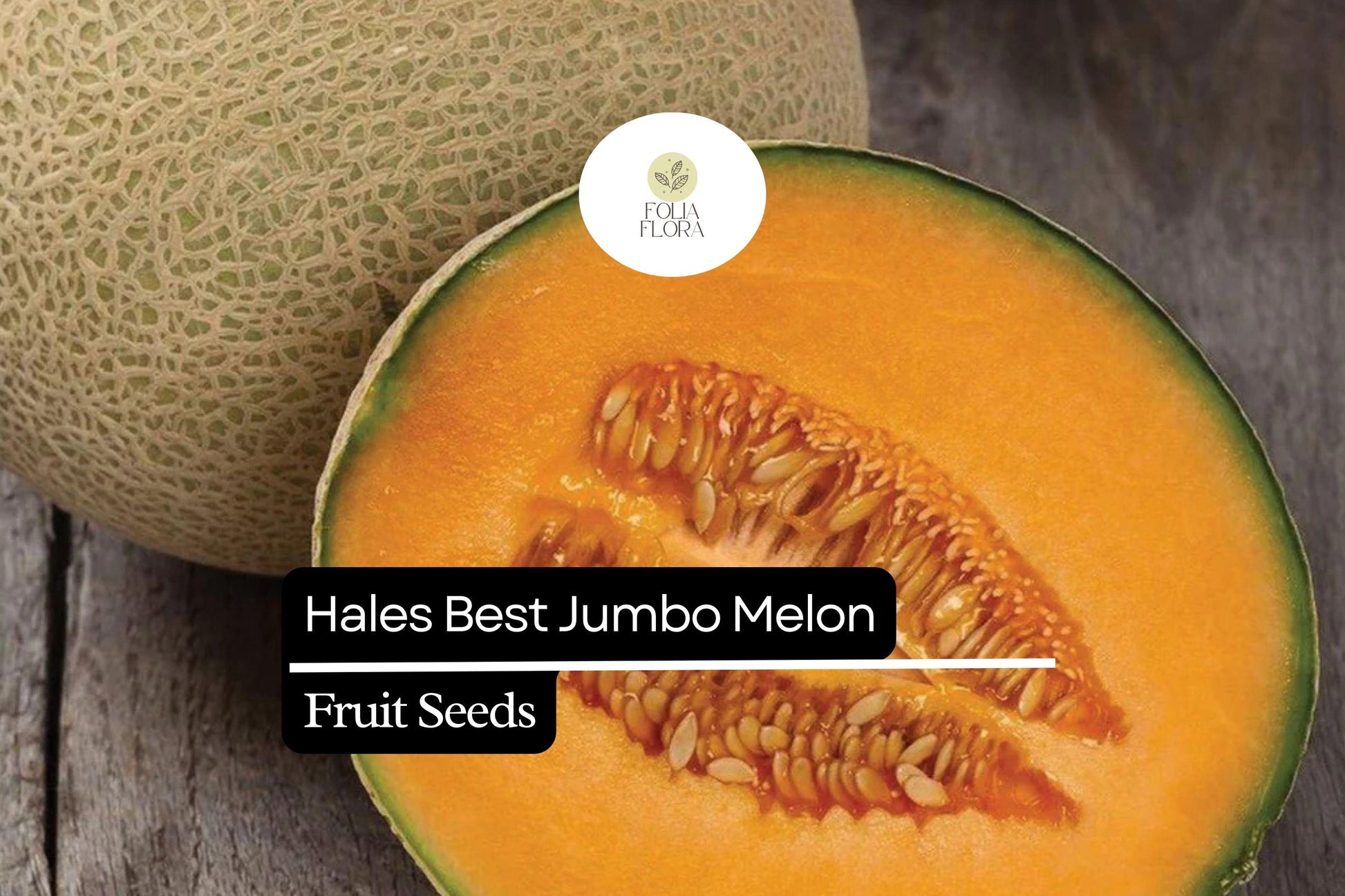 Hales Best Jumbo Cantaloupe Seeds, Sweet Orange Flesh, Cucumis melo, Large Juicy Melon for Garden, Fruit Salads, Smoothies