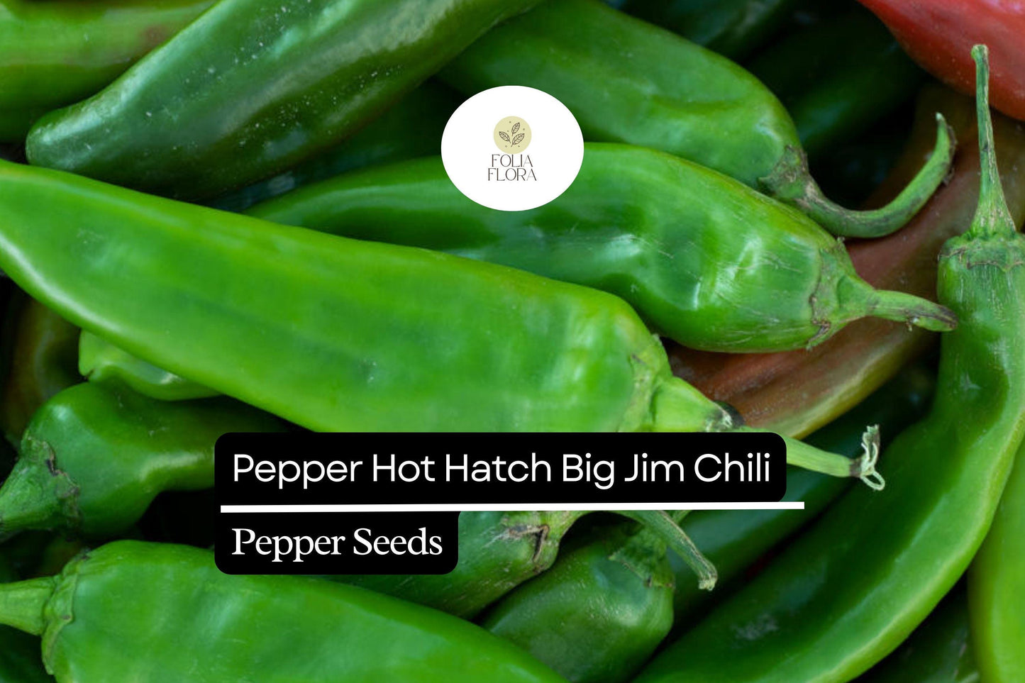 Big Jim Hatch Chili Pepper Seeds | Non-GMO, Mild-Medium Heat, Capsicum annuum, Long Green to Red Peppers