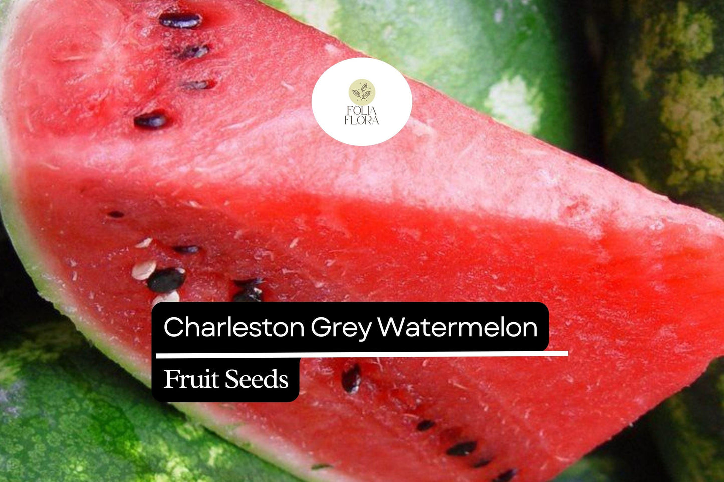 20 Seeds Charleston Grey Watermelon Seeds – Sweet Juicy Classic Summer Fruit – Citrullus lanatus