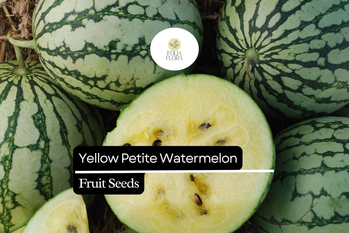 Yellow Petite Watermelon Seeds – Small, Sweet, Yellow-Fleshed Citrullus lanatus for Containers & Gardens