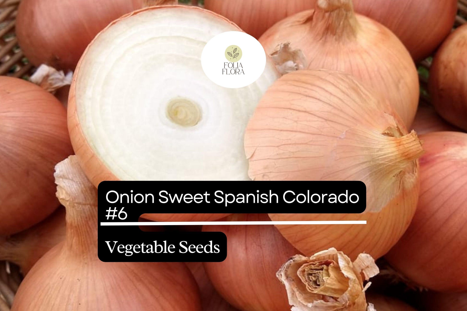 Sweet Spanish Onion Seeds | Non-GMO Allium cepa Colorado #6 Bulbs for Cooking & Storage