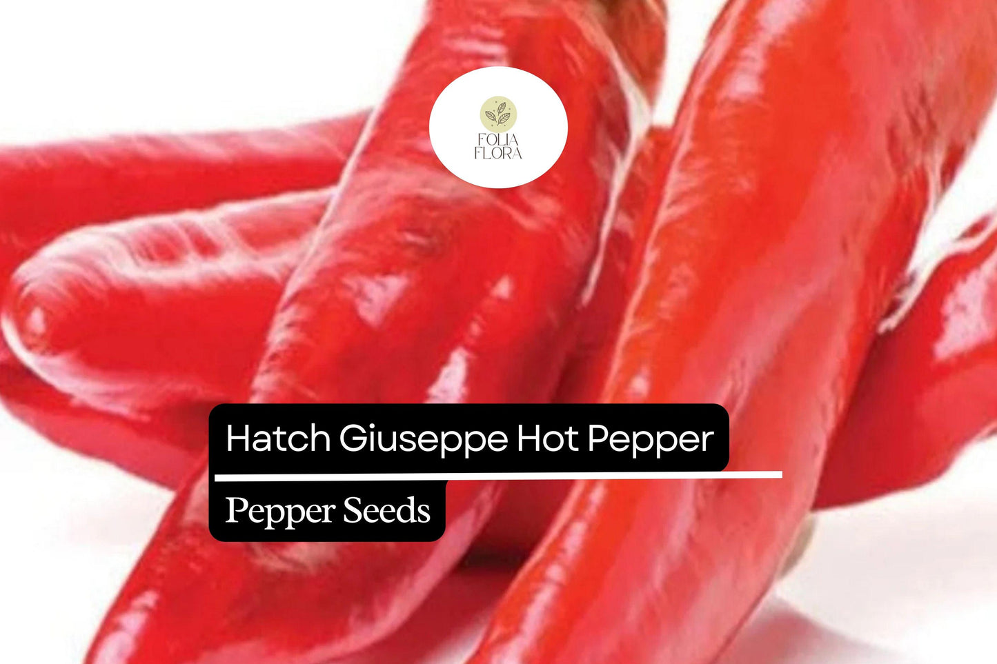 Hatch Giuzeppi Pepper Seeds | Medium Heat Capsicum Annuum for Grilling, Roasting, Salsas, and Sauces