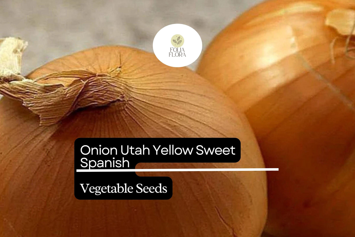 Utah Yellow Sweet Spanish Onion Seeds | Heirloom Allium cepa | Large Globe Bulbs | Mild Sweet Flavor