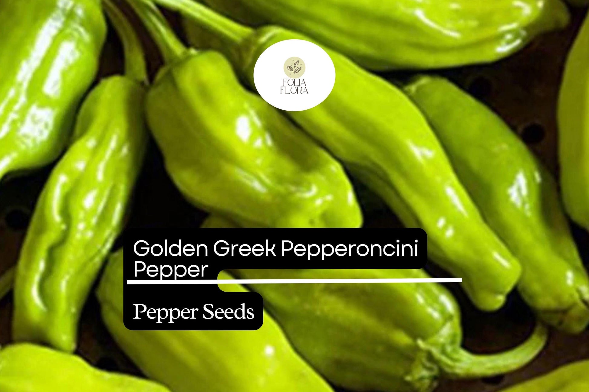 Golden Greek Pepperoncini Seeds – Mild Capsicum annuum for Pickling, Salads, and Garnishes, Bright Yellow-Green Color