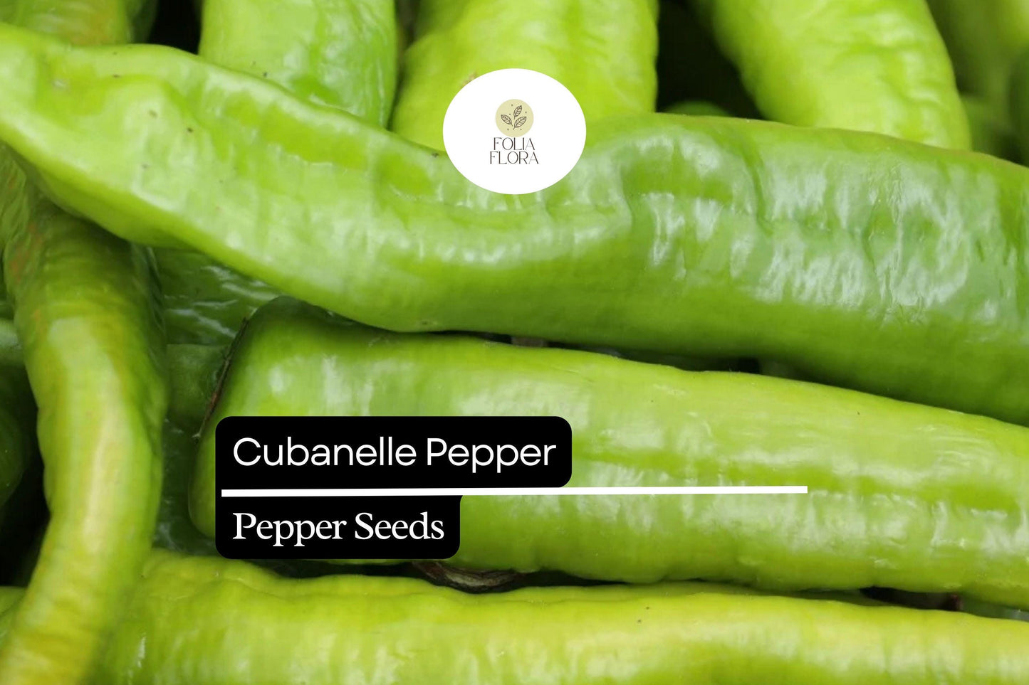 30 Seeds Cubanelle Pepper Seeds, Sweet Mild Heirloom Capsicum Annuum for Frying, Roasting & Stuffing