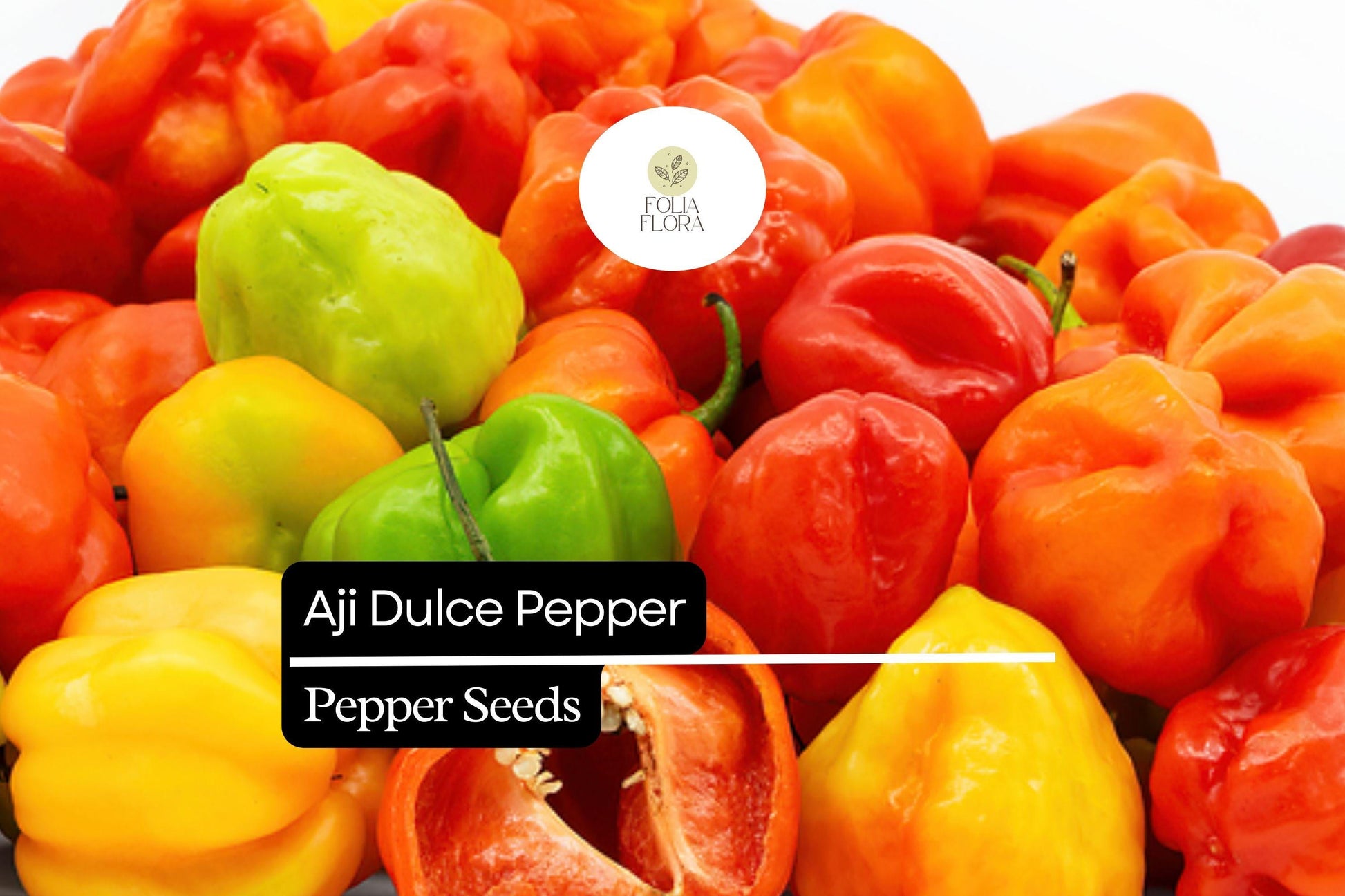 Aji Dulce Pepper Seeds – Sweet Mild Caribbean Capsicum chinense for Stews, Salsas, and Garden Growth