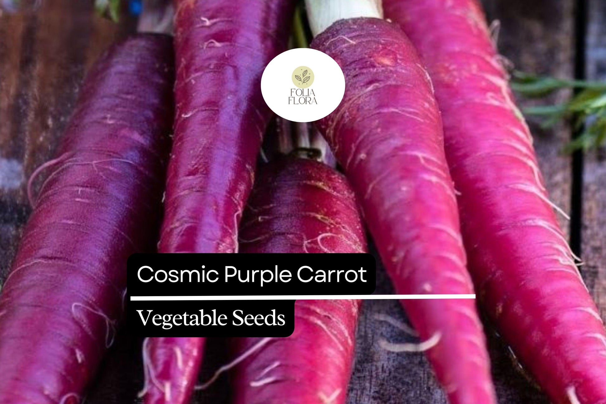 Cosmic Purple Carrot Seeds – 300 Pack, Vibrant Purple Skin, Sweet Orange Core, Heirloom Daucus carota, Nutritious, Easy to Grow