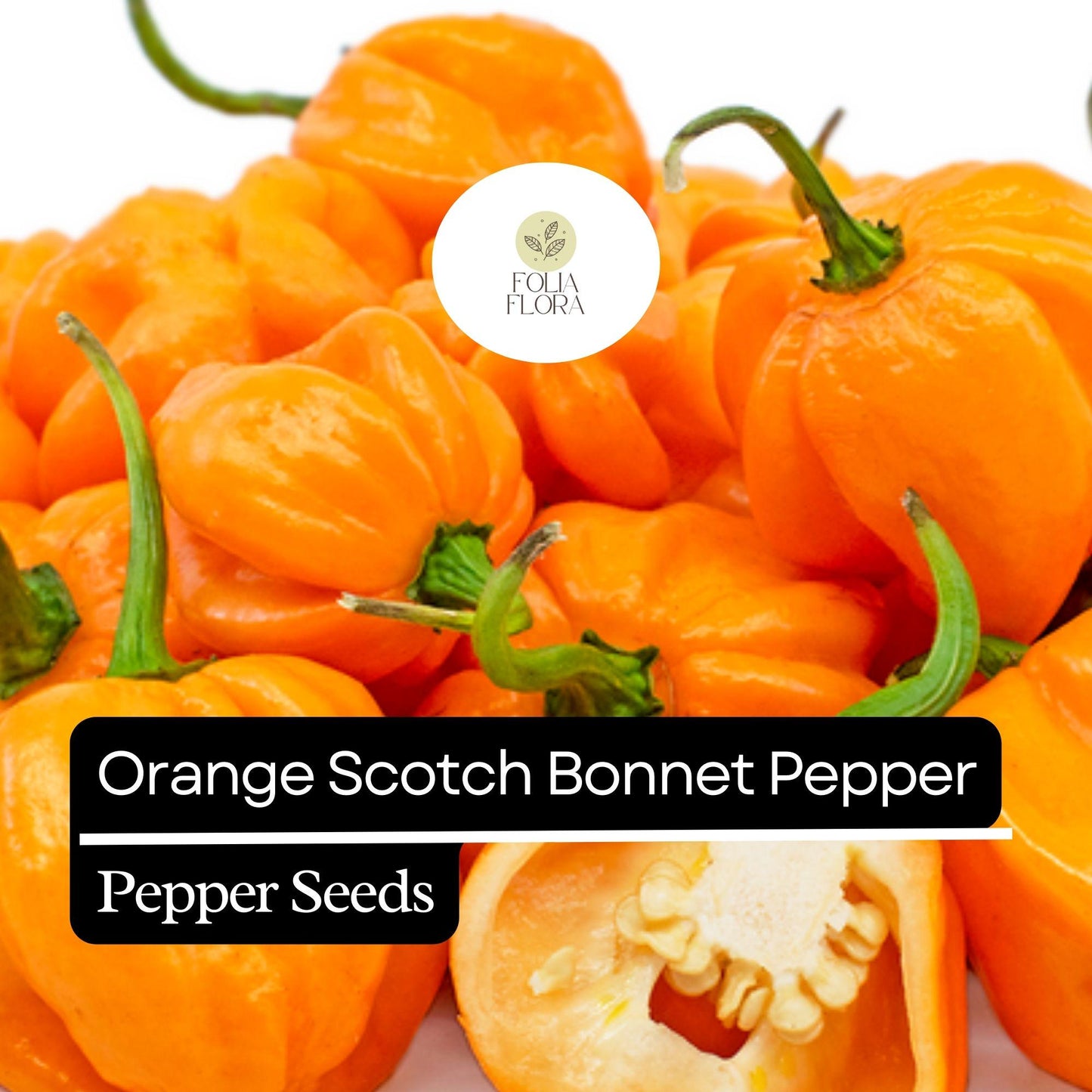 Orange Scotch Bonnet Pepper Seeds – Heirloom, Non-GMO, Hot & Spicy, Capsicum chinense, 20 Seeds