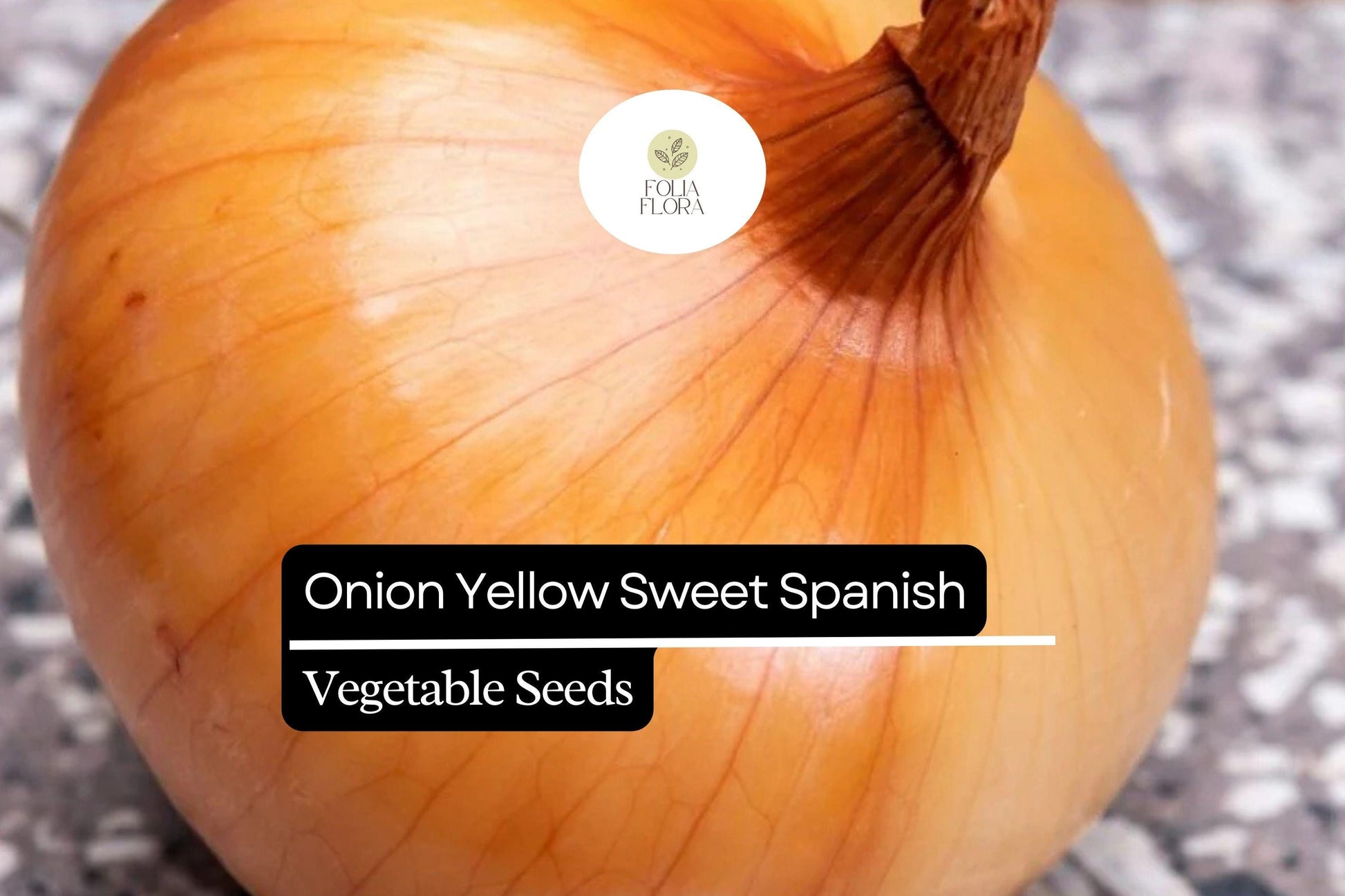 Yellow Spanish Sweet Onion Seeds – Heirloom Allium cepa, Large, Mild, High-Yielding, Perfect for Cooking & Gardening