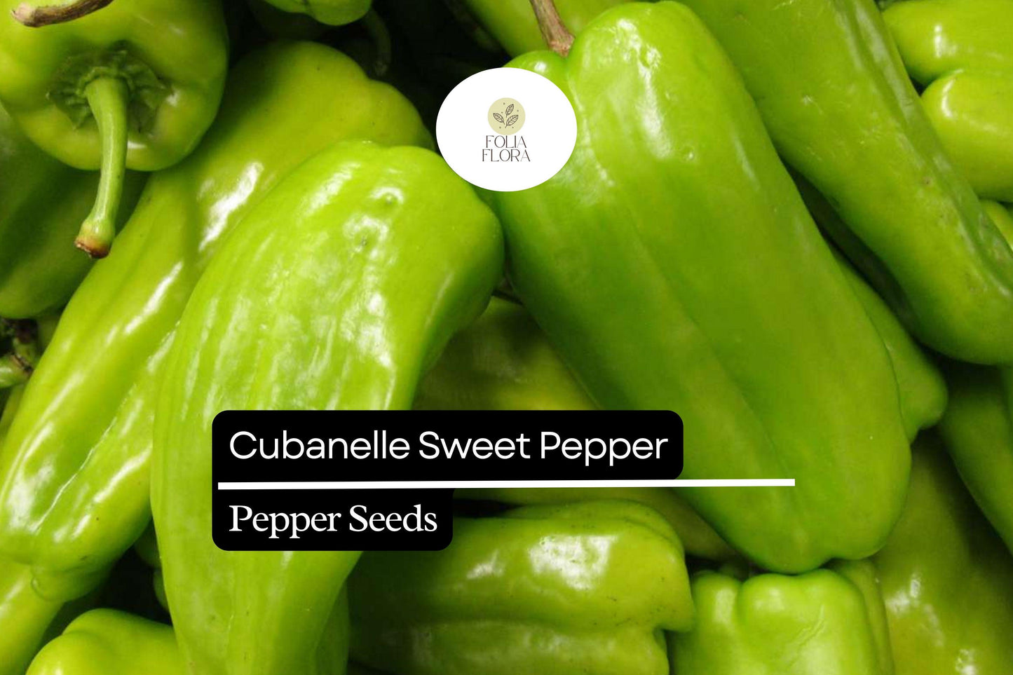 Cubanelle Sweet Pepper Seeds – Heirloom, High-Yielding, Mild & Sweet, Capsicum annuum