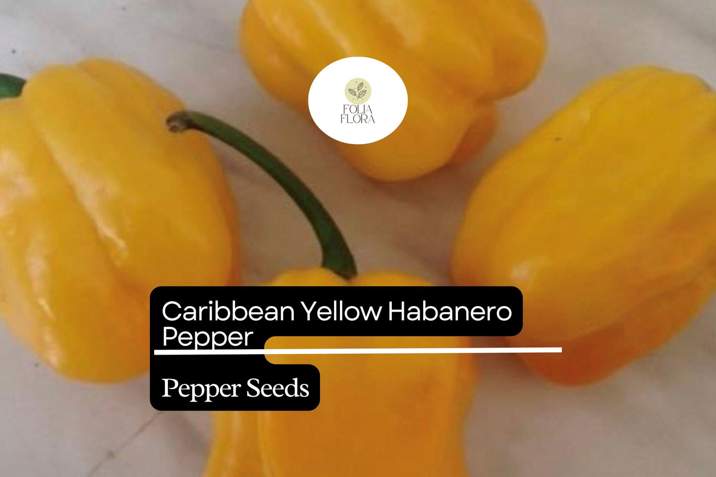 25 Caribbean Yellow Habanero Pepper Seeds – Capsicum chinense, Hot Chili, Heirloom, Non-GMO, 300,000+ Scoville