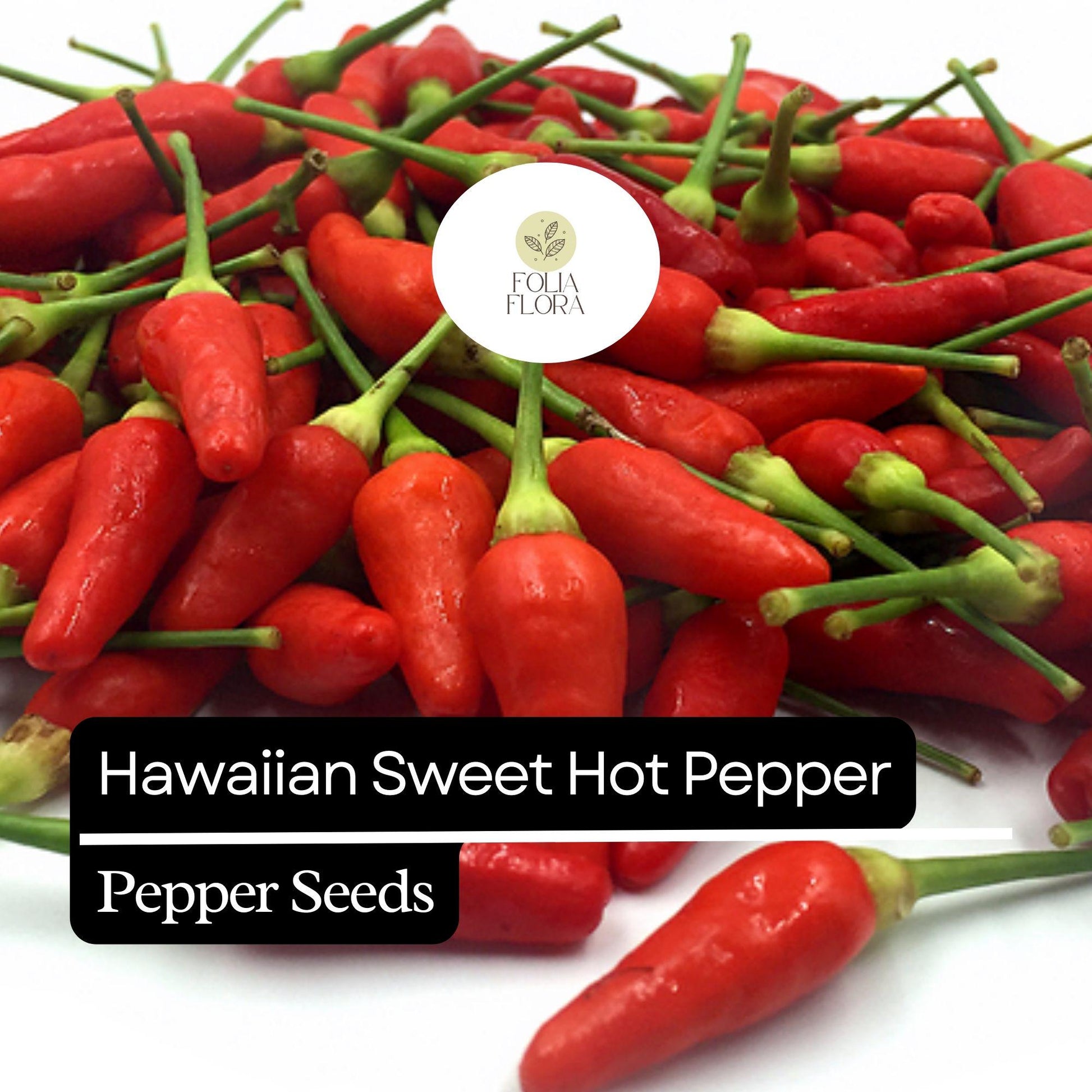 Hawaiian Sweet Hot Pepper Seeds – Heirloom, Non-GMO, Spicy & Sweet, High Yield, Capsicum annuum, 15 Seeds