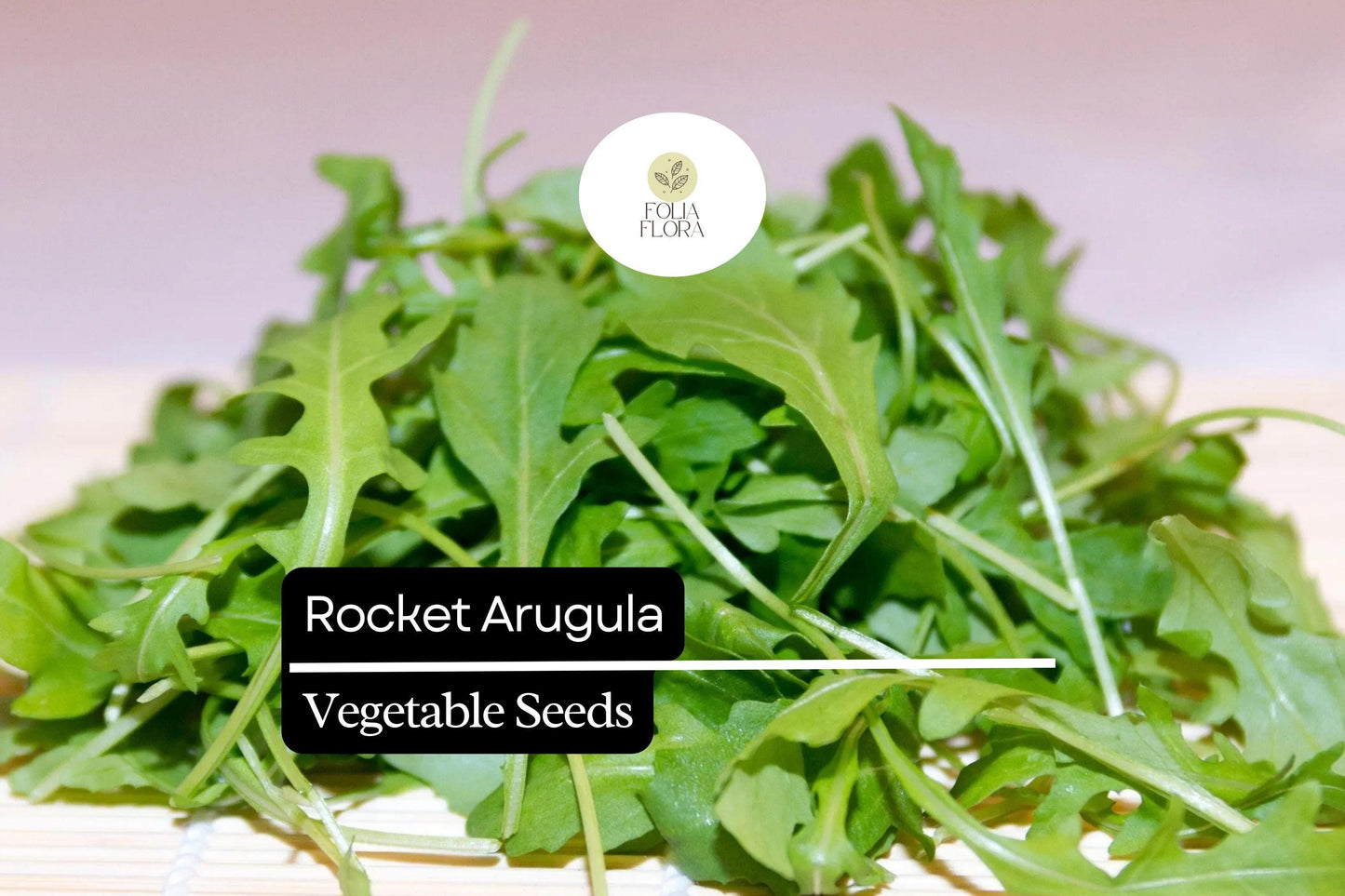 500 Rocket Arugula Seeds – Heirloom, Non-GMO, Fast-Growing Spicy & Nutty Greens, Eruca vesicaria
