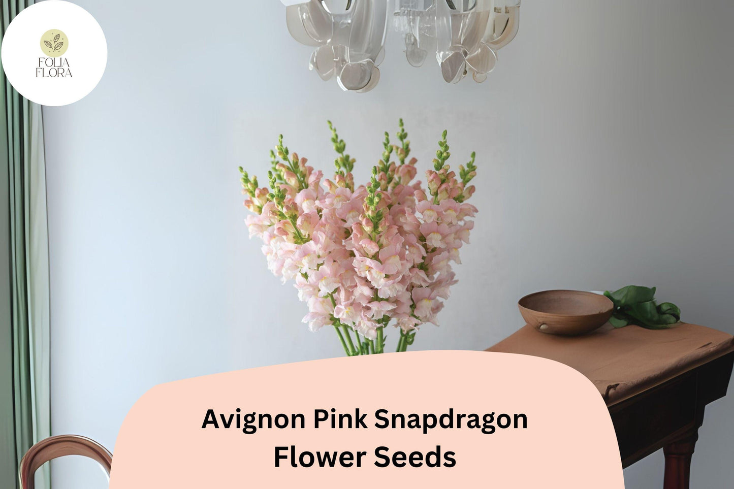 Avignon Pink Snapdragon Seeds | 1000+ Blush Pink Flowers | Antirrhinum majus | Pollinator-Friendly Annual