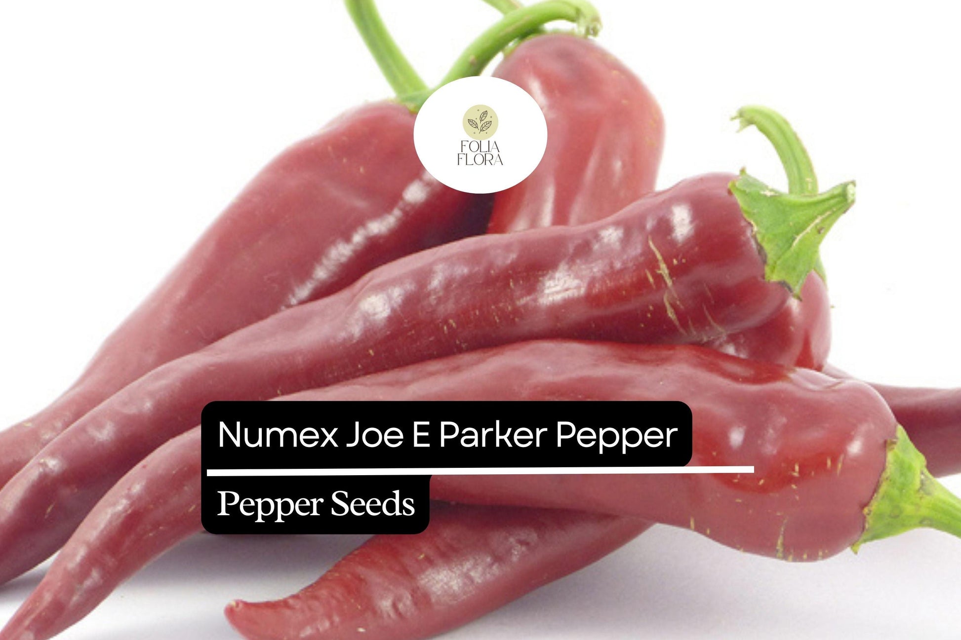 NuMex Joe E. Parker Pepper Seeds – Mild Hatch Chile, Heirloom Non-GMO, Capsicum annuum, Long Slender Fruits