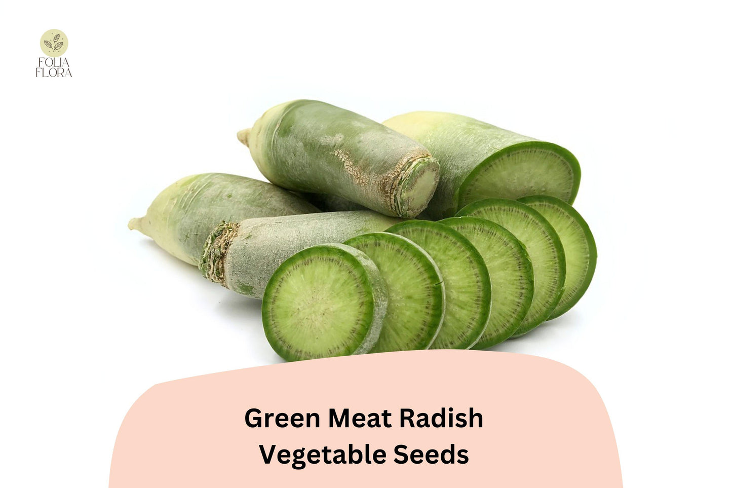 Green Meat Radish Seeds – Heirloom Daikon Variety, Crisp White Flesh, Cold-Hardy, High-Yield, 500+ Seeds
