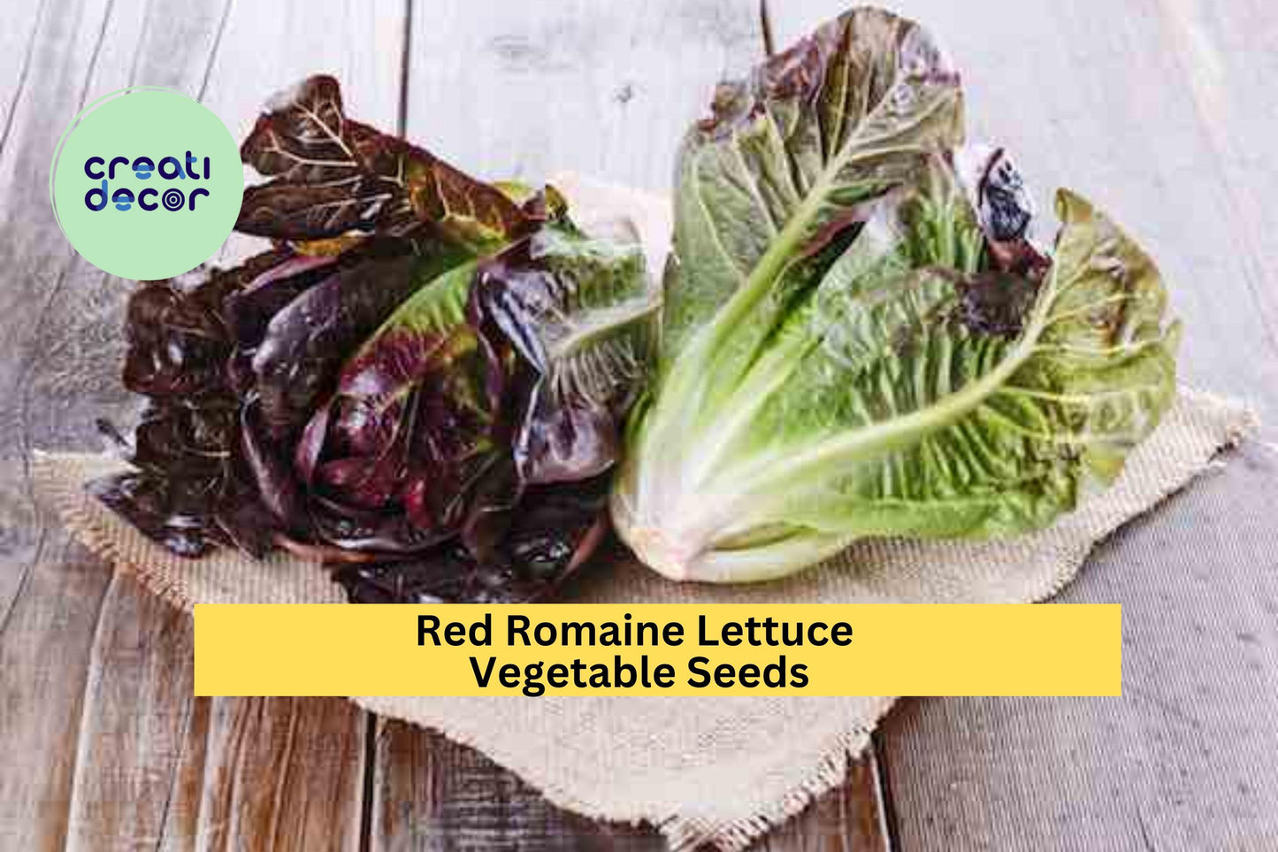 Red Romaine Lettuce Seeds 3pcs – Heirloom Lactuca sativa, Deep Red, Crisp Leaves for Salads, Raised Beds & Containers