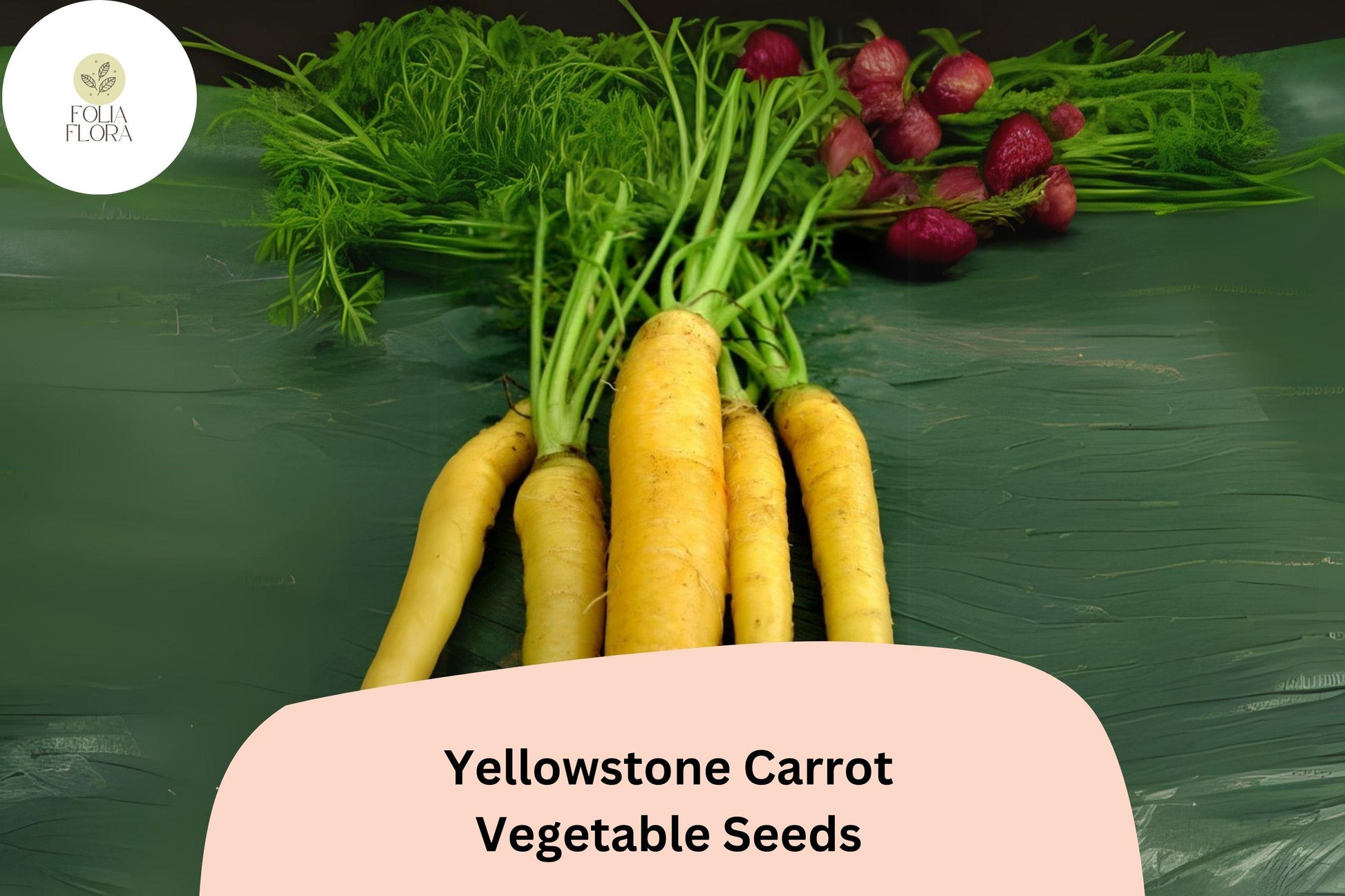 Yellowstone Carrot Seeds – Heirloom Bright Yellow Root Vegetable, Sweet & Tender, 8-10 Inch, Cold-Hardy, High-Yield, Organic