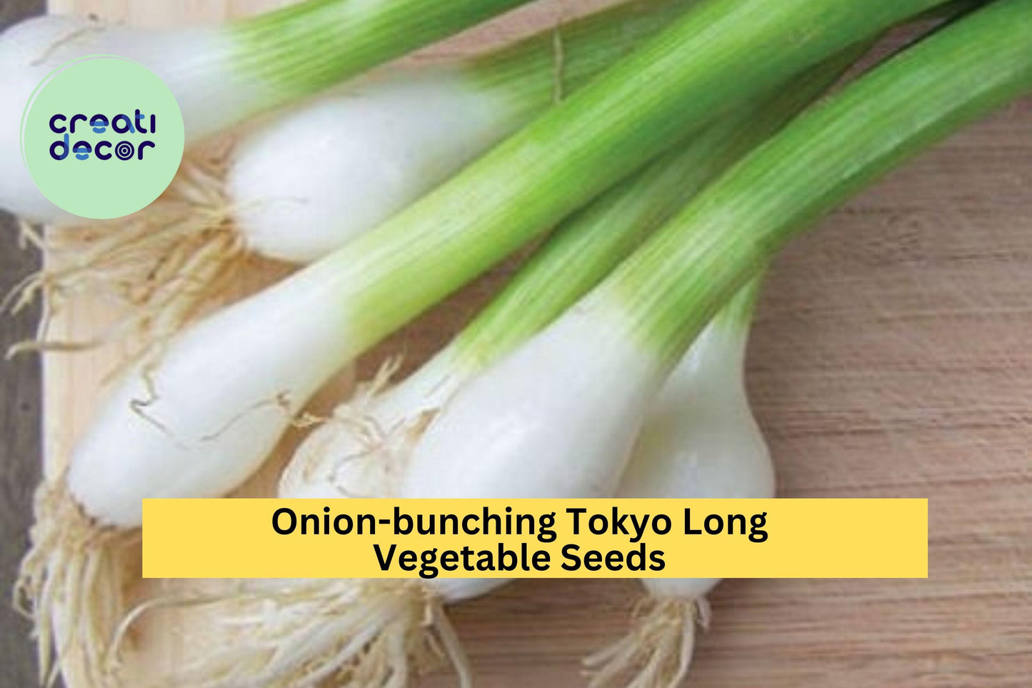 3pcs Bunching Onion Seeds – Tokyo Long Allium Fistulosum, Mild Scallion for Stir-Fries & Soups