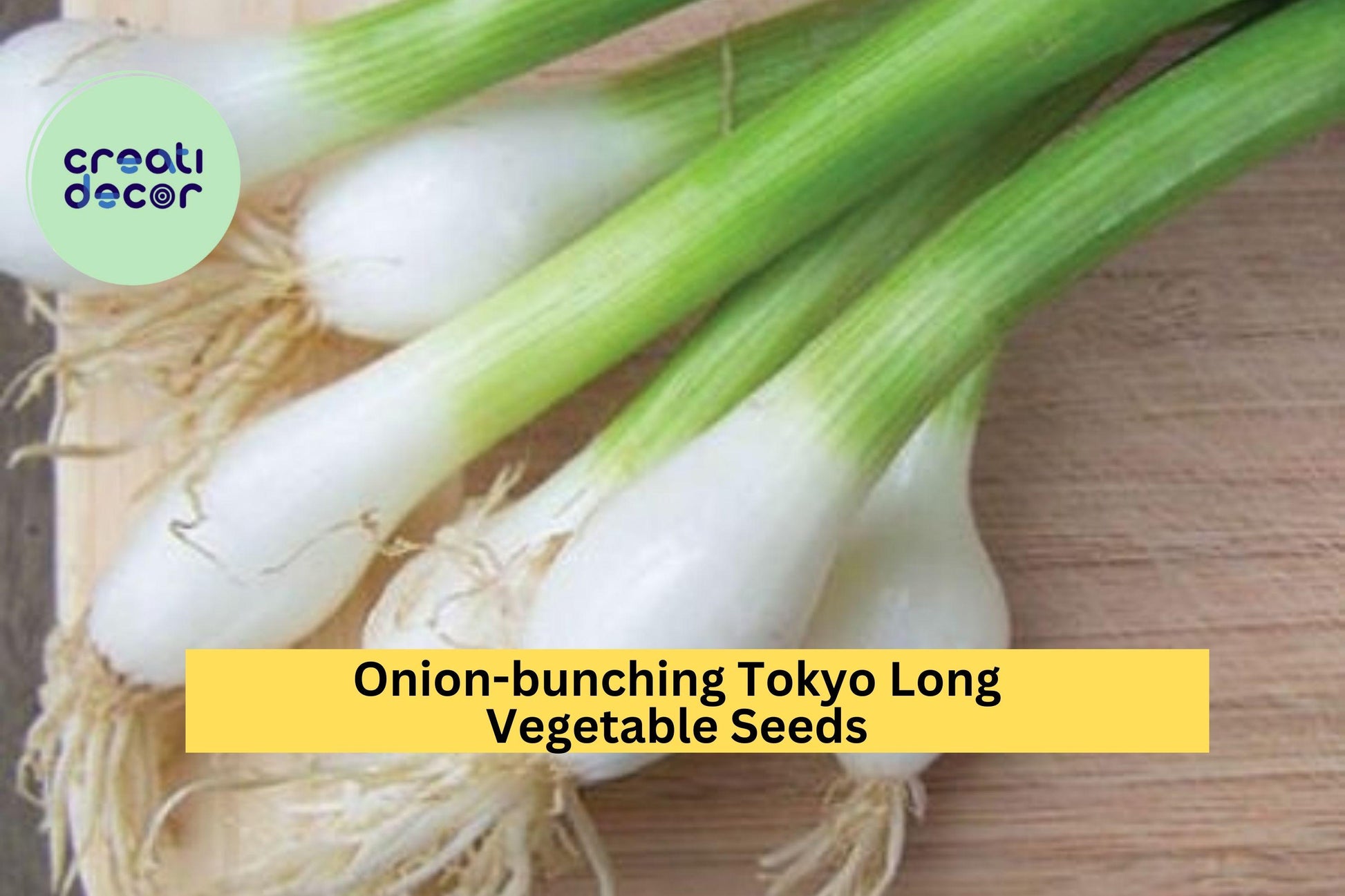3pcs Bunching Onion Seeds – Tokyo Long Allium Fistulosum, Mild Scallion for Stir-Fries & Soups