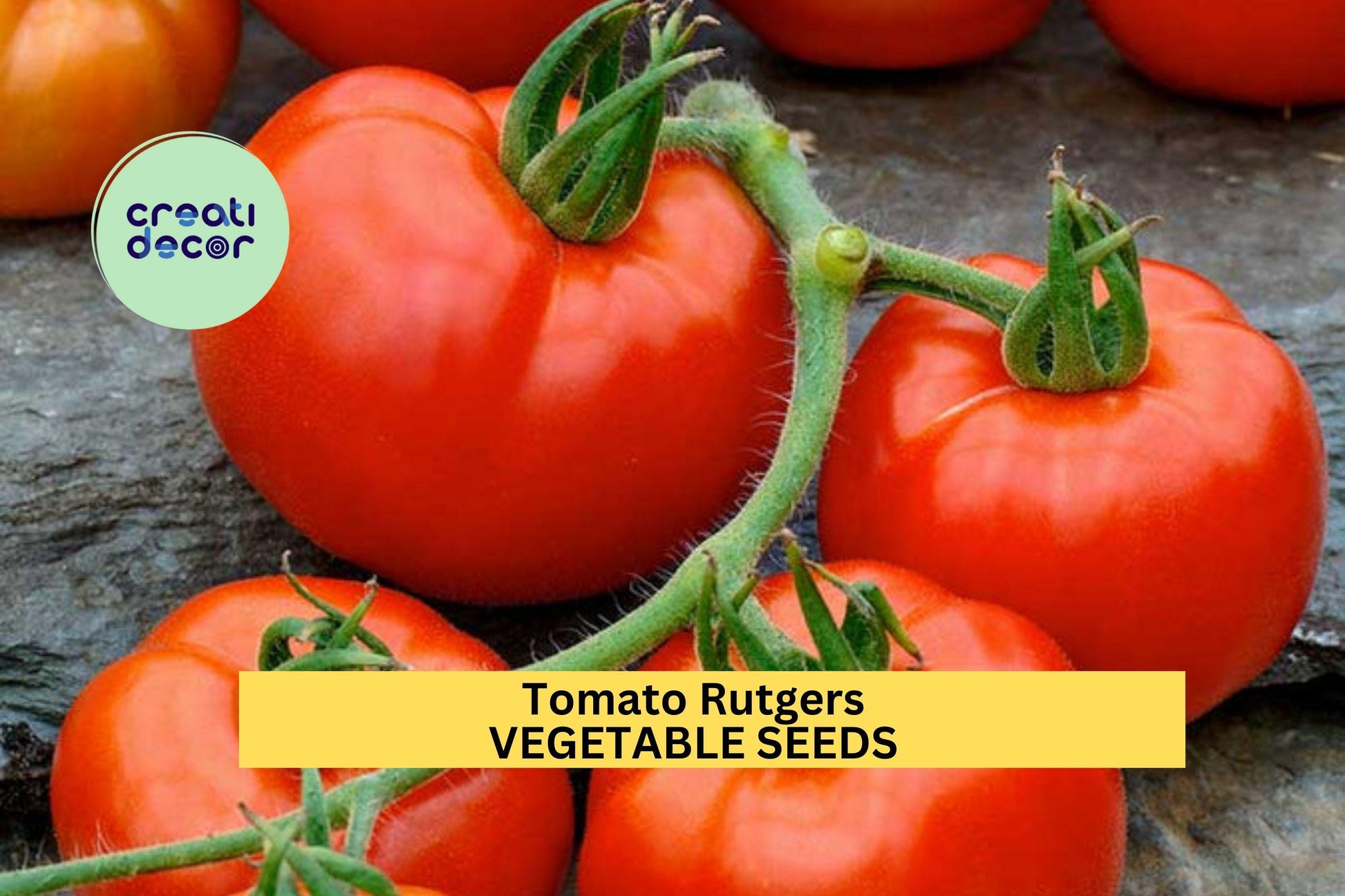 Tomato Seeds 3-Pack 100mg Rutgers Heirloom Juicy Red Solanum lycopersicum for Home Garden & Containers