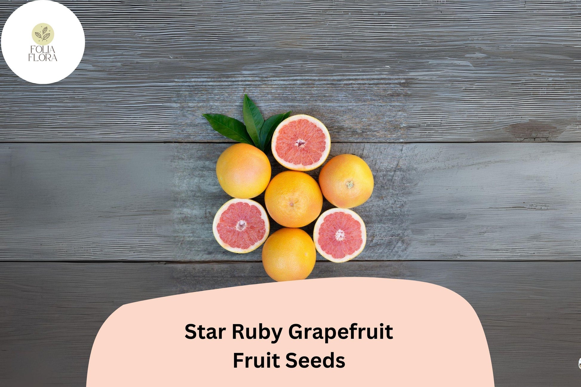 Star Ruby Grapefruit Seeds – Juicy Deep Red Citrus, Sweet-Tart Flavor, Citrus paradisi, Homegrown Fruit Tree