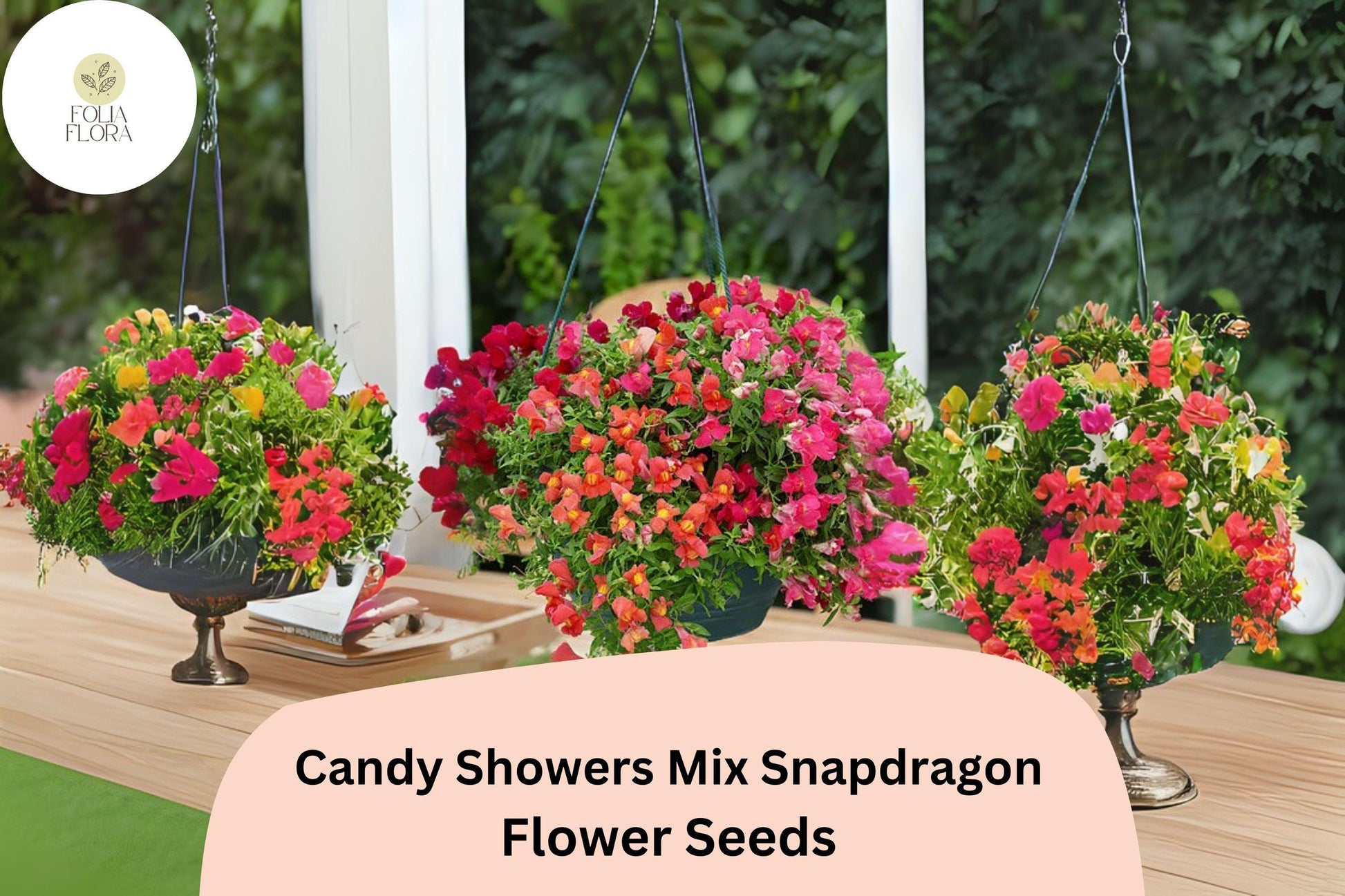 Candy Showers Snapdragon Seeds | Trailing Cascading Mix for Hanging Baskets & Containers | Antirrhinum majus